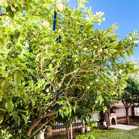 Garden House Kavala, Modern With Bbq, Motorcycle Parking & Access * كافالا